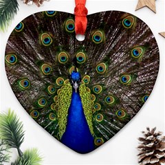 Peacock Heart Ornament (Two Sides) from ArtsNow.com Back