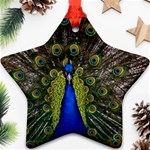 Peacock Star Ornament (Two Sides)