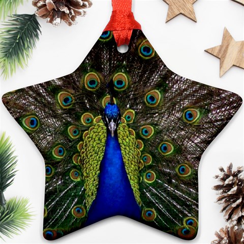 Peacock Star Ornament (Two Sides) from ArtsNow.com Back
