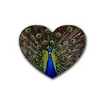 Peacock Rubber Heart Coaster (4 pack)