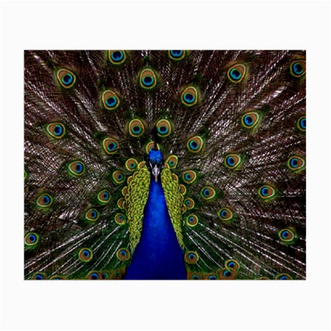 Peacock Small Glasses Cloth (2 Sides) from ArtsNow.com Front