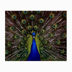 Peacock Small Glasses Cloth (2 Sides) from ArtsNow.com Back