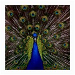 Peacock Medium Glasses Cloth
