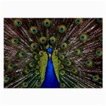 Peacock Large Glasses Cloth (2 Sides)