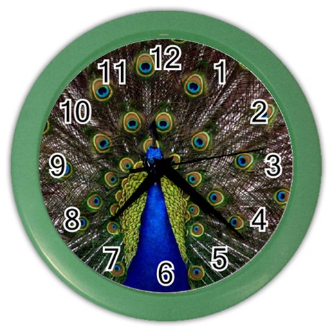 Peacock Color Wall Clock from ArtsNow.com Front