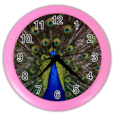 Peacock Color Wall Clock from ArtsNow.com Front