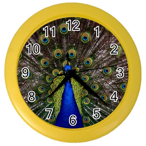 Peacock Color Wall Clock from ArtsNow.com Front