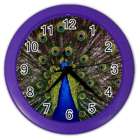 Peacock Color Wall Clock from ArtsNow.com Front