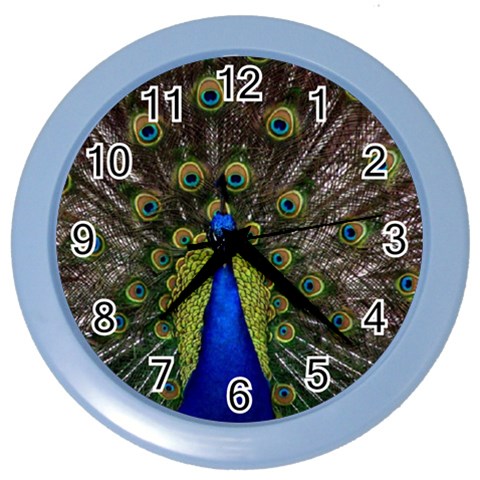 Peacock Color Wall Clock from ArtsNow.com Front