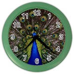Peacock Color Wall Clock