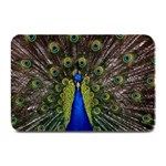 Peacock Plate Mat