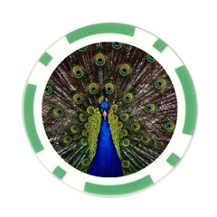 Peacock Poker Chip Card Guard from ArtsNow.com Back