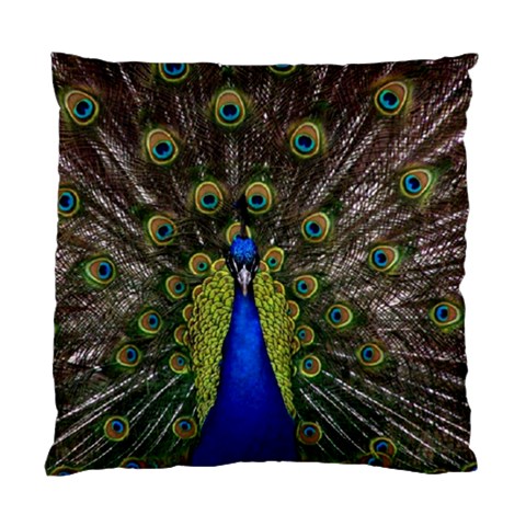 Peacock Standard Cushion Case (One Side) from ArtsNow.com Front