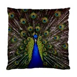 Peacock Standard Cushion Case (Two Sides)