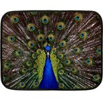 Peacock Fleece Blanket (Mini)