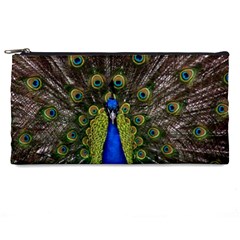 Peacock Pencil Case from ArtsNow.com Front