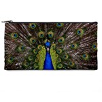 Peacock Pencil Case