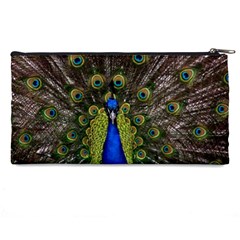 Peacock Pencil Case from ArtsNow.com Back