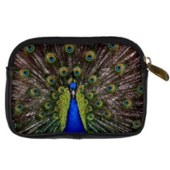 Peacock Digital Camera Leather Case from ArtsNow.com Back