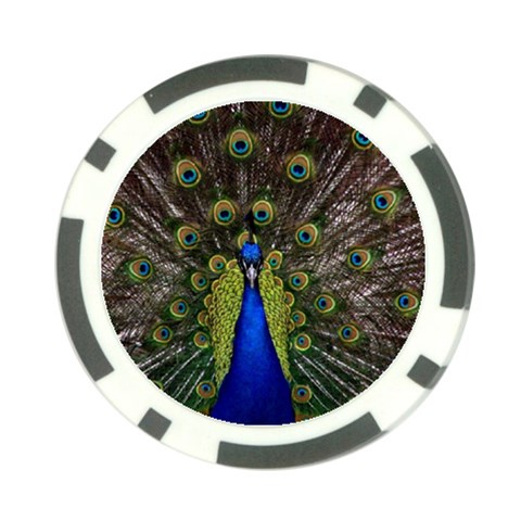 Peacock Poker Chip Card Guard (10 pack) from ArtsNow.com Front