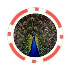 Peacock Poker Chip Card Guard (10 pack) from ArtsNow.com Back