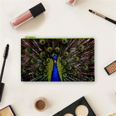 Peacock Cosmetic Bag (Small) from ArtsNow.com Front