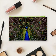 Peacock Cosmetic Bag (Medium) from ArtsNow.com Back
