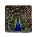 Peacock Memory Card Reader (Square)
