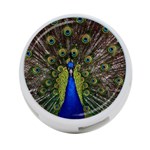 Peacock 4-Port USB Hub (Two Sides)