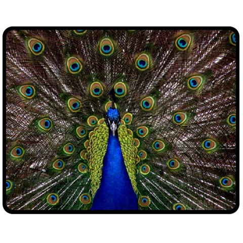 Peacock Fleece Blanket (Medium) from ArtsNow.com 60 x50  Blanket Front