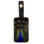 Peacock Luggage Tag (one side)