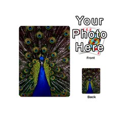Peacock Playing Cards 54 (Mini) from ArtsNow.com Back
