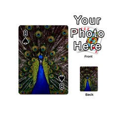 Peacock Playing Cards 54 (Mini) from ArtsNow.com Front - Spade8