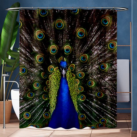 Peacock Shower Curtain 60  x 72  (Medium) from ArtsNow.com 60 x72  Curtain