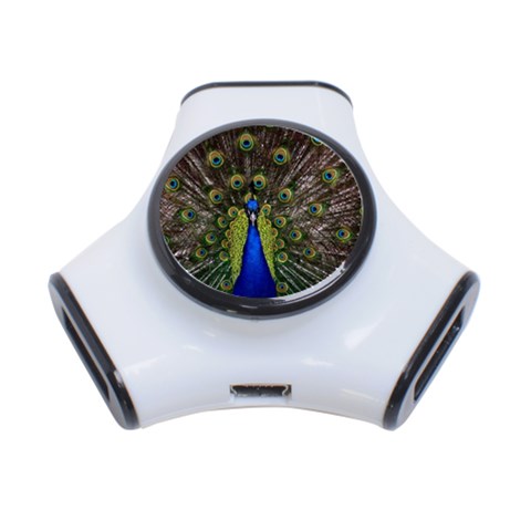 Peacock 3 Front