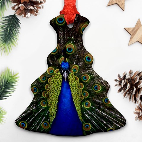 Peacock Ornament (Christmas Tree)  from ArtsNow.com Front