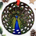 Peacock Round Filigree Ornament (Two Sides)