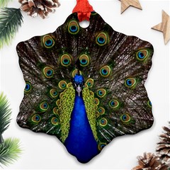 Peacock Snowflake Ornament (Two Sides) from ArtsNow.com Back