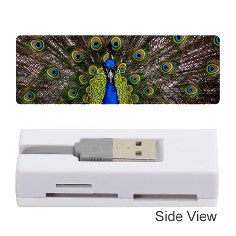 Peacock Memory Card Reader (Stick) from ArtsNow.com Front