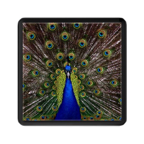 Peacock Memory Card Reader (Square) from ArtsNow.com Front