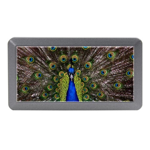 Peacock Memory Card Reader (Mini) from ArtsNow.com Front