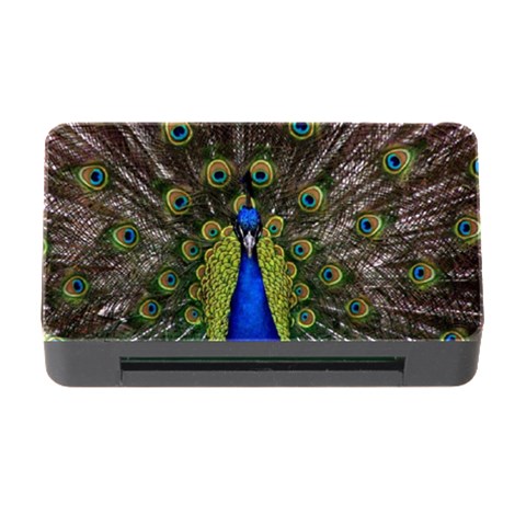 Peacock Memory Card Reader with CF from ArtsNow.com Front