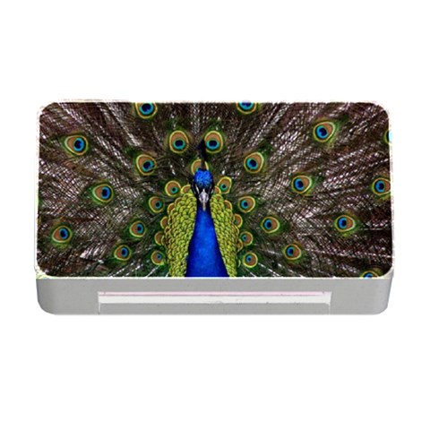 Peacock Memory Card Reader with CF from ArtsNow.com Front