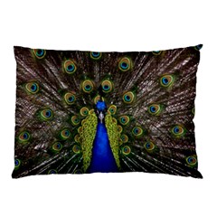 Peacock Pillow Case (Two Sides) from ArtsNow.com Front