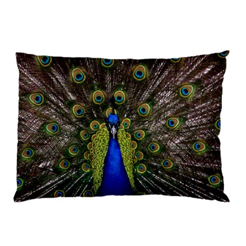 Peacock Pillow Case (Two Sides) from ArtsNow.com Back