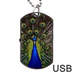 Peacock Dog Tag USB Flash (One Side)