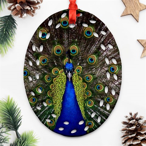 Peacock Ornament (Oval Filigree) from ArtsNow.com Front