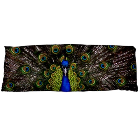 Peacock Body Pillow Case (Dakimakura) from ArtsNow.com Body Pillow Case