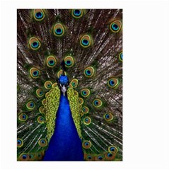 Peacock Small Garden Flag (Two Sides) from ArtsNow.com Back