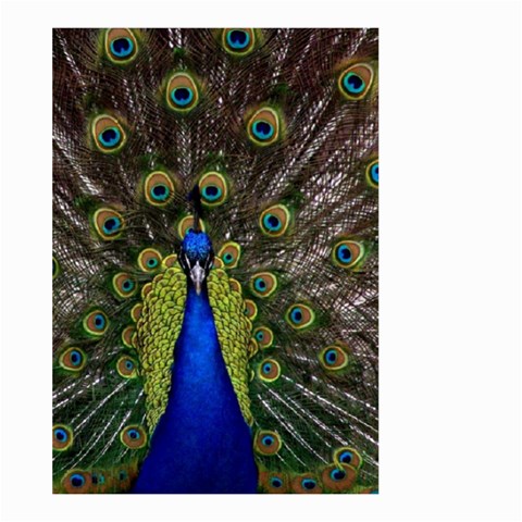 Peacock Large Garden Flag (Two Sides) from ArtsNow.com Front